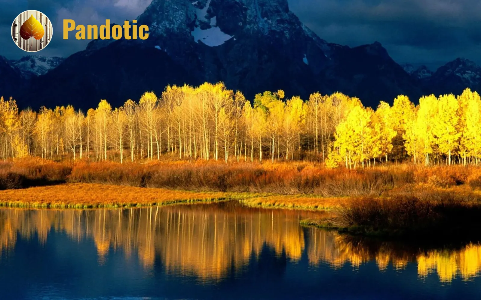 The Roots of Pandotic AI